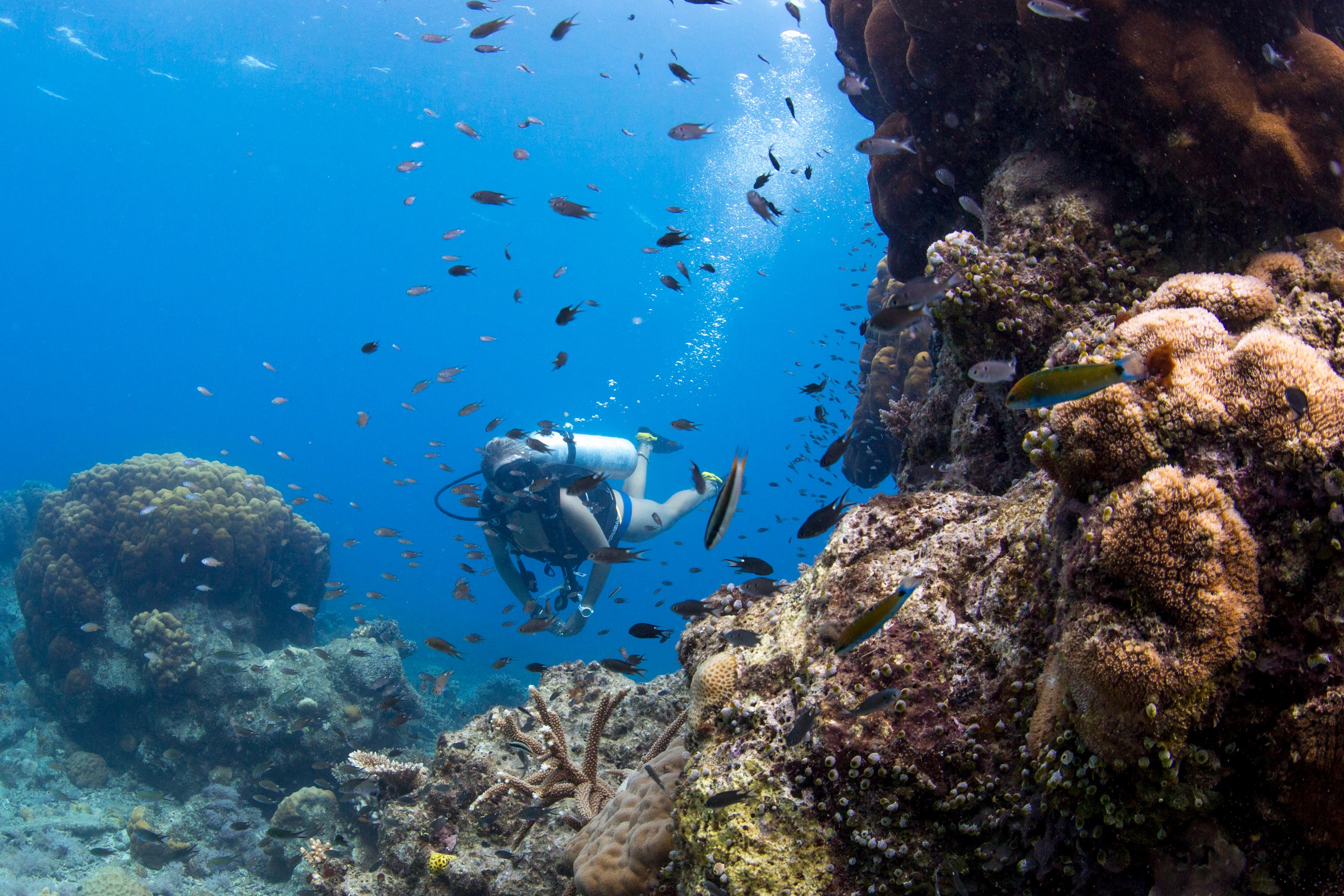 Best Underwater Photography On Instagram - 7affny7