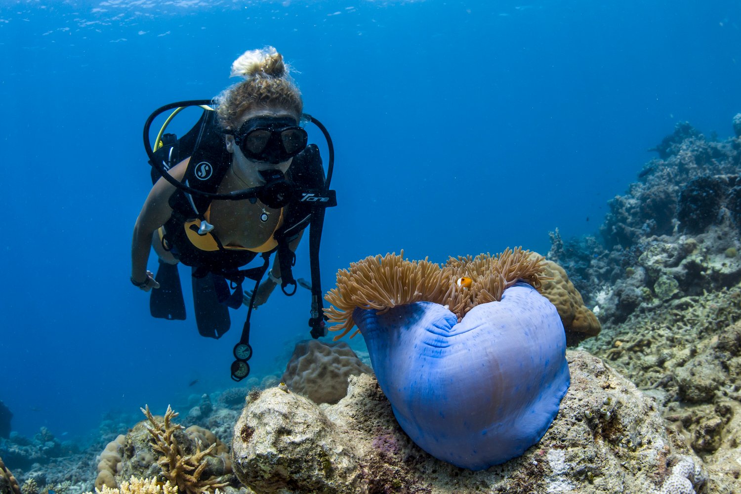 Best Underwater Photography On Instagram - lthjiev