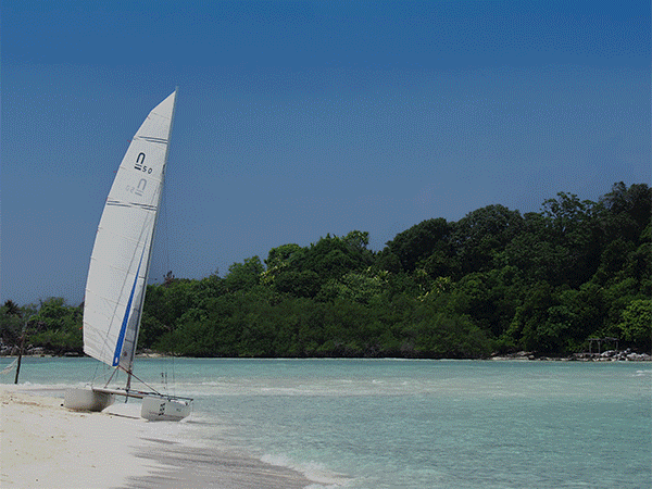 TravelTuesday-edm-animated-hero-052024