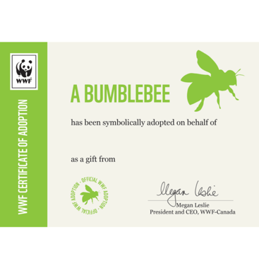 bumble bee wwf adoption valentines sustainable gift