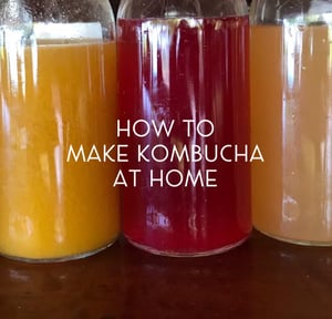 Blog-kombucha