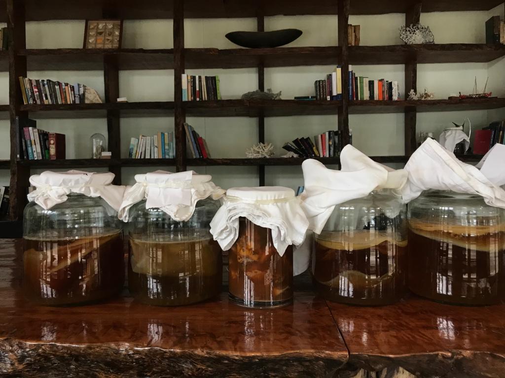 SCOBY Library 2