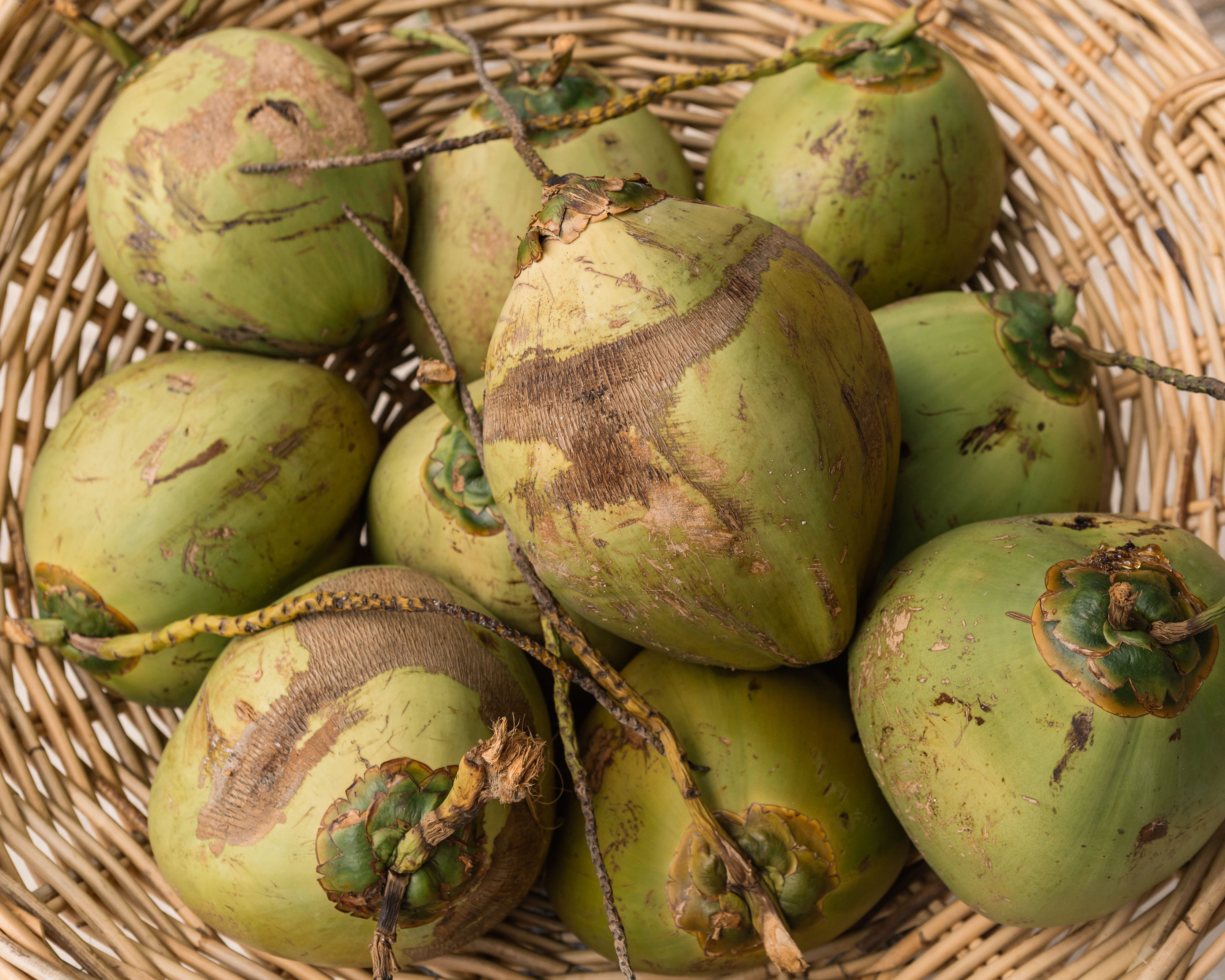 fresh coconut and avocado hair mask recipe