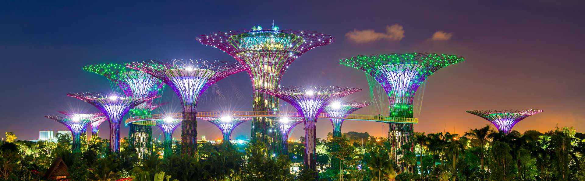 gardens-by-the bay-Singapore