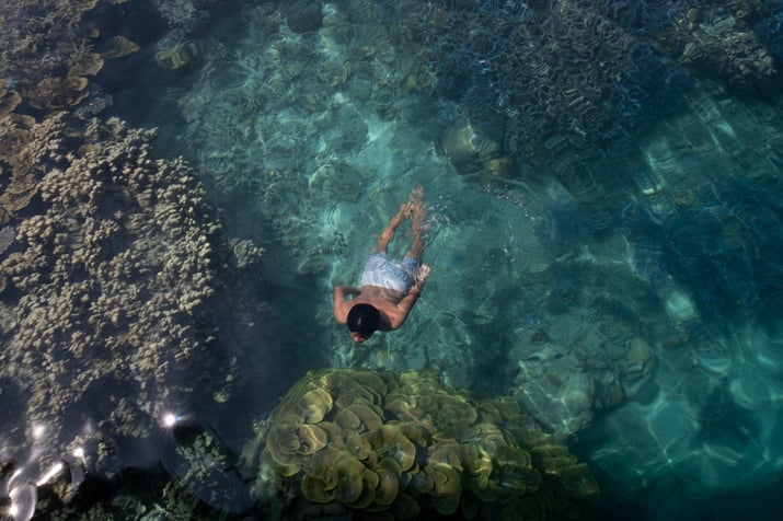 man-swimming-in-coral-wearing-white-swim-shorts