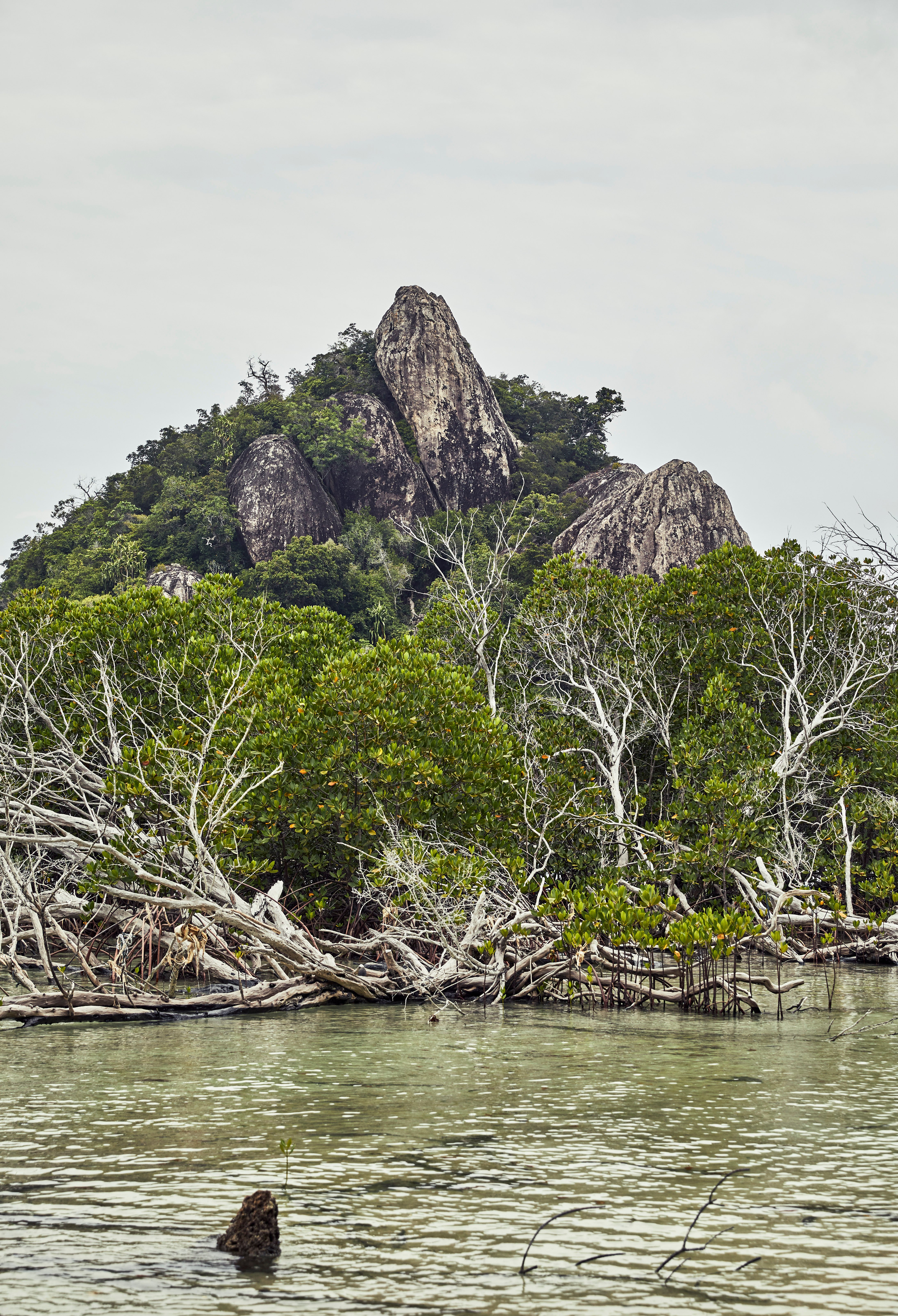 mangroves batu tokong, Bawah Reserve