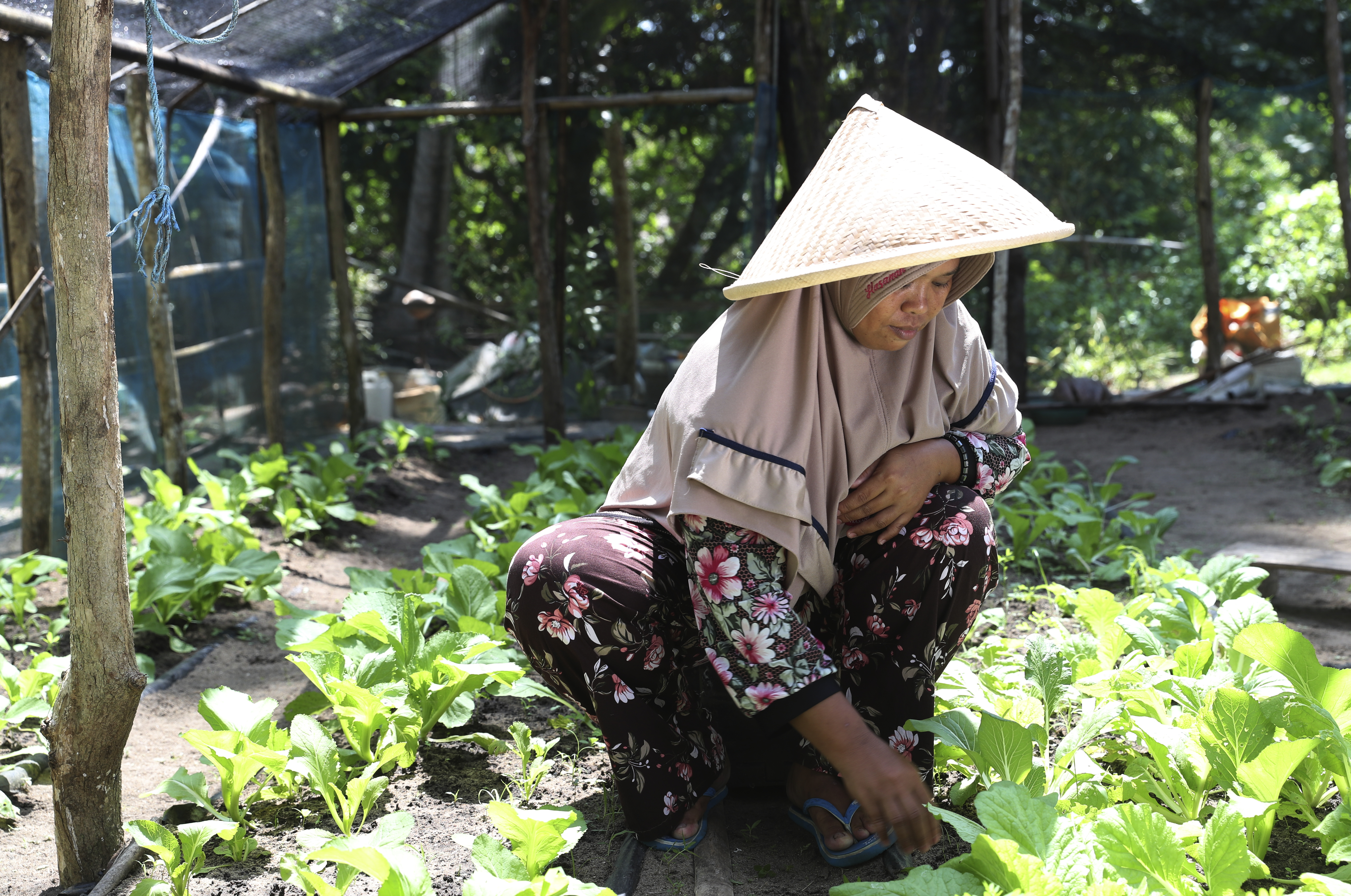 Anambas Foundation Organic Farming Project, Indonesia