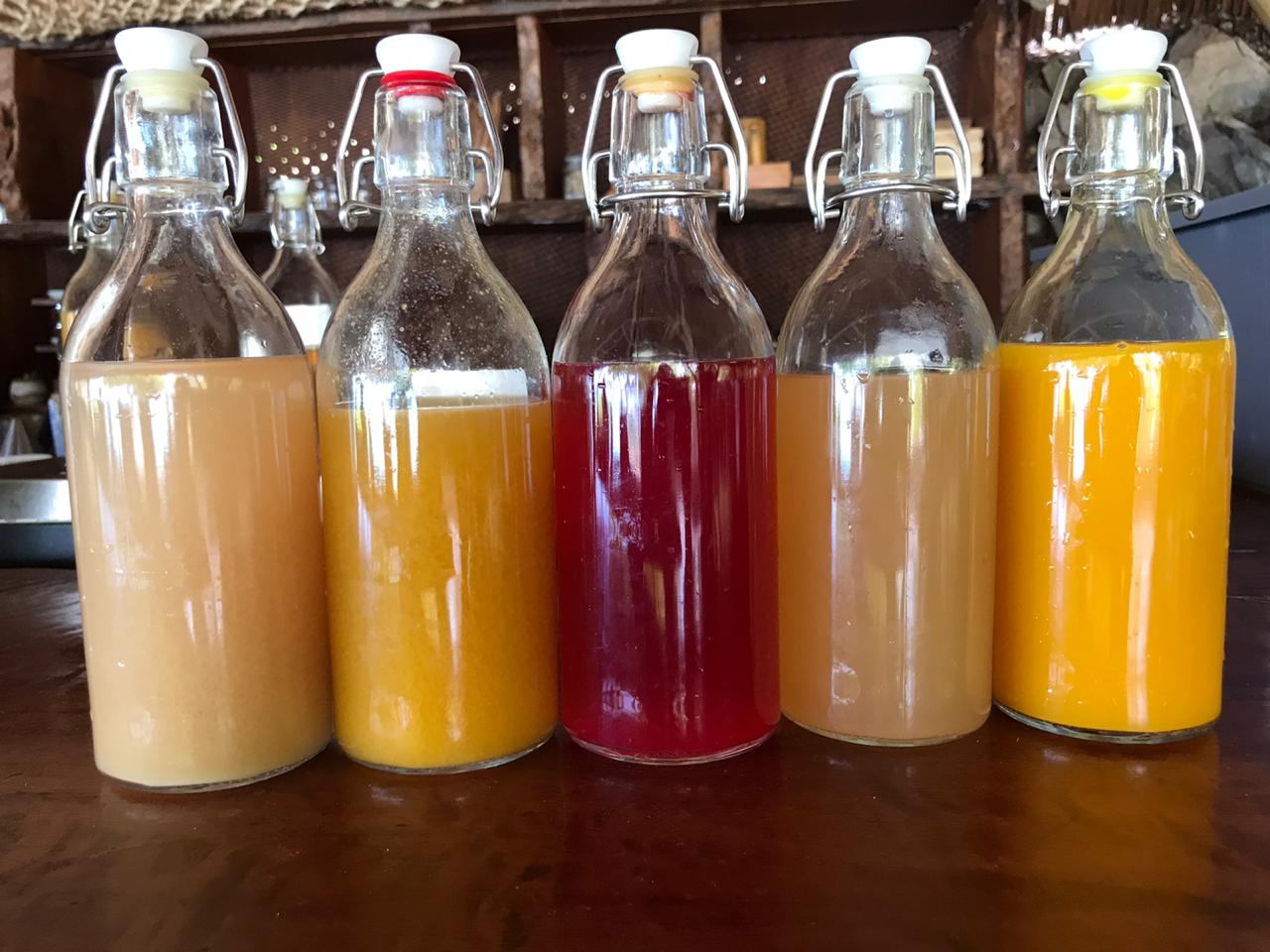 Kombucha - How to make it at home from Bawah Reserve, Indonesia